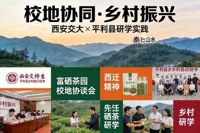 知行·至远 | 西安交大管理学院MBA与EMBA学子赴平利乡村振兴研学纪实