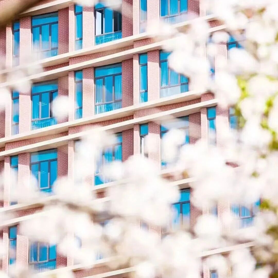 【奖励升级】2026年入学上海理工大学MPAcc项目非全日制新生奖学金覆盖面达100%！另有免费住宿可申请！