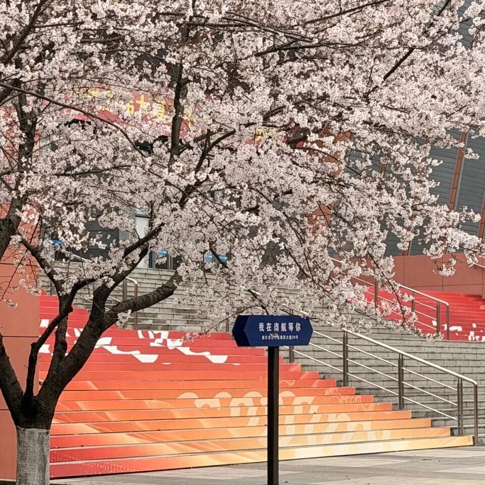 2026南航MBA/MEM/MPAcc调剂意向已开启