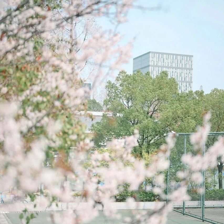 春润同济 艺愈人心——同济大学艺术疗愈体系课程（第四期）成功举办